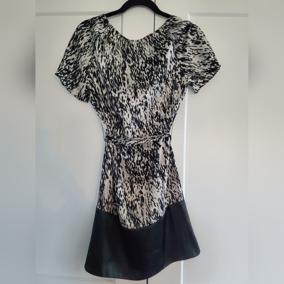 Animal Print Express Silk Dress - Picture 3 of 5
